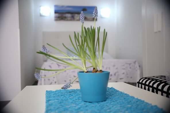 you&me house Ceglie Messapica Extérieur photo